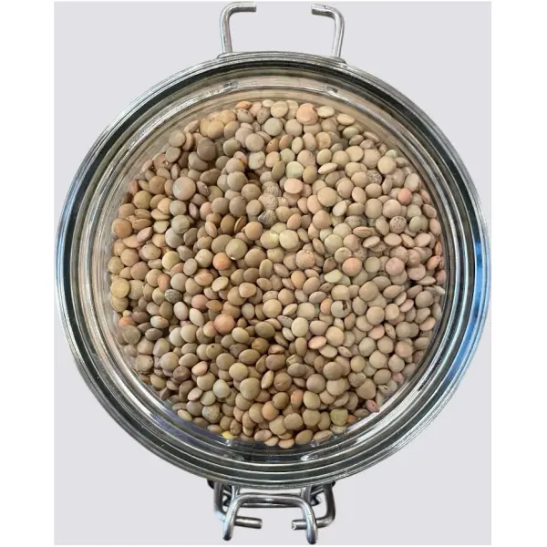 Lenticchie verdi pr. 300gr