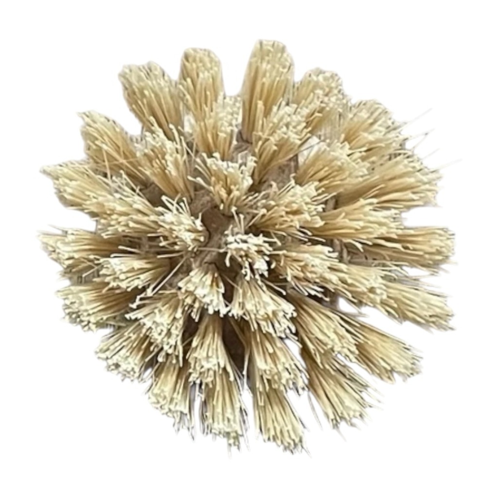 Ricamnatural spazzola pentola