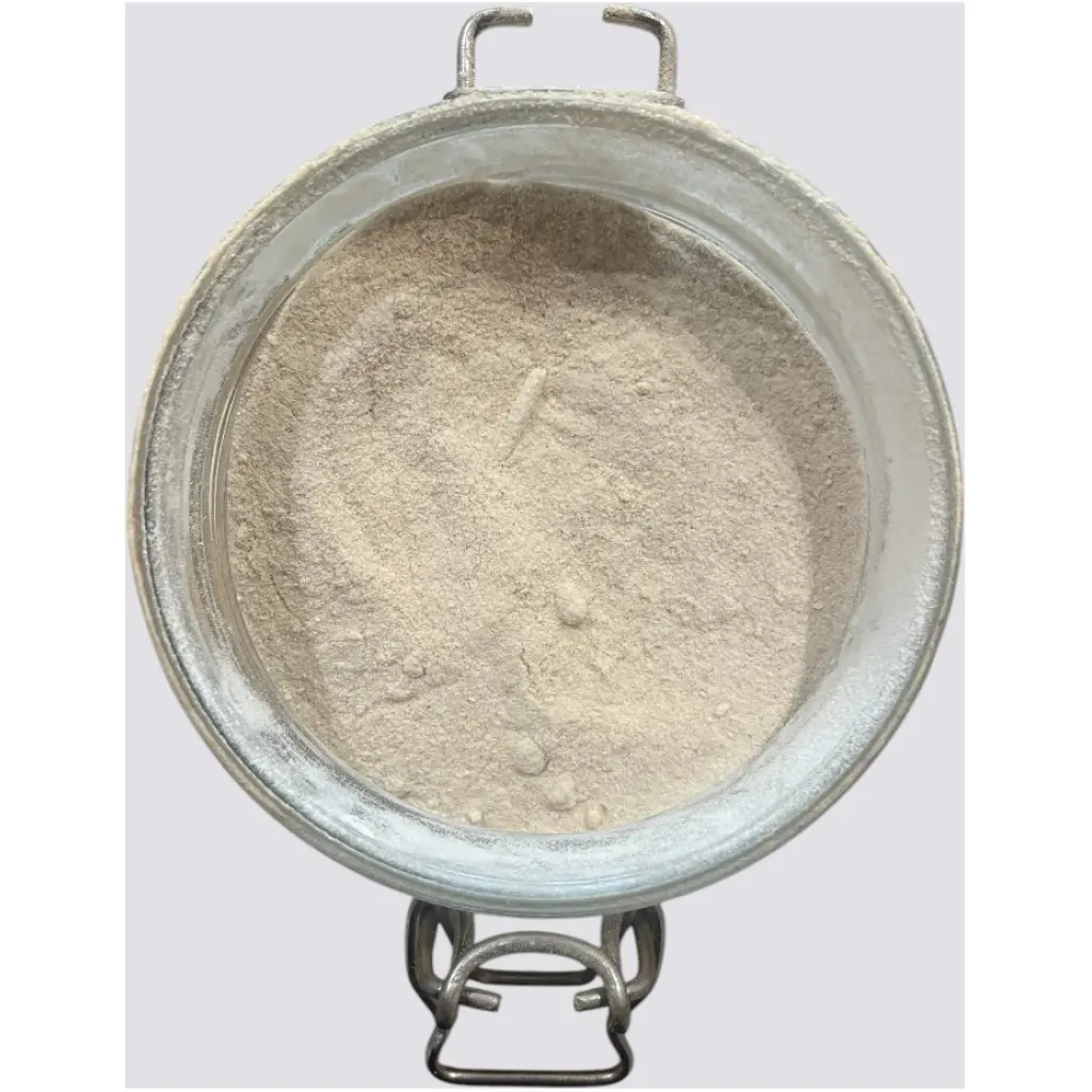 Cipolla In POLVERE pr. 50gr