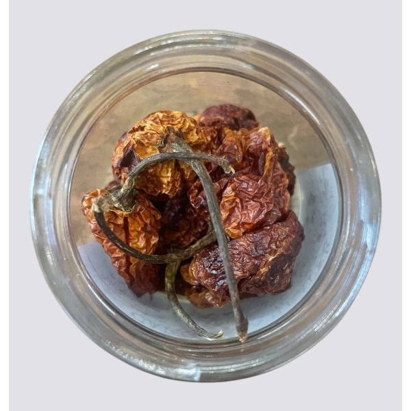 Peperoncino Carolina Reaper 1PZ