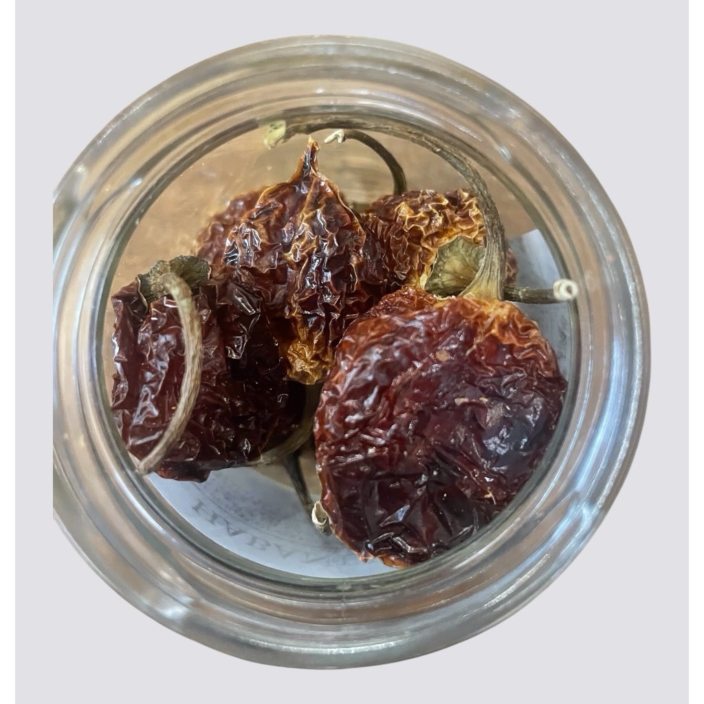 Habanero Red Savina 1PZ