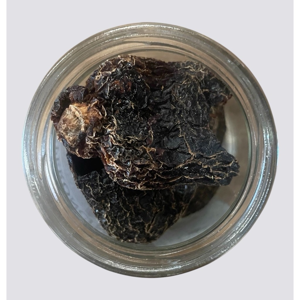 Peperoncino Rocoto 1PZ