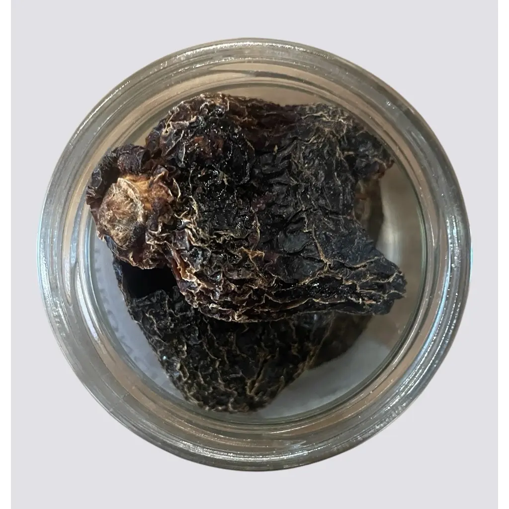 Peperoncino Rocoto 1PZ