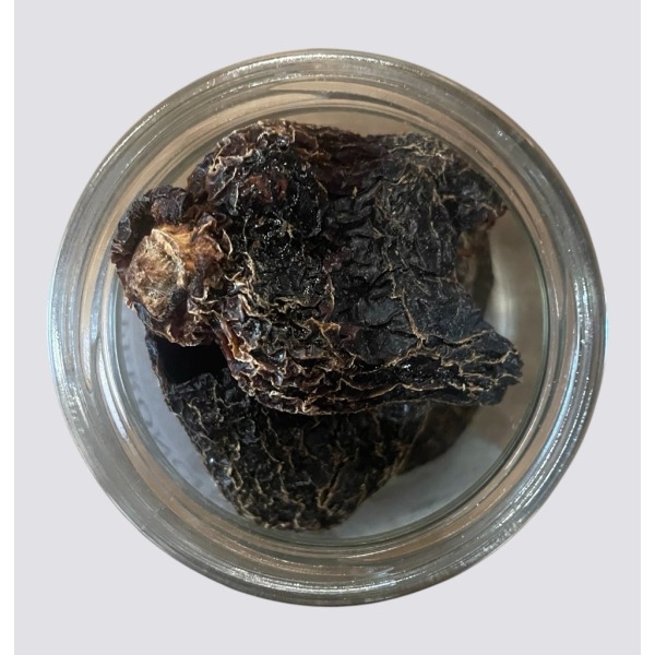 Peperoncino Rocoto 1PZ