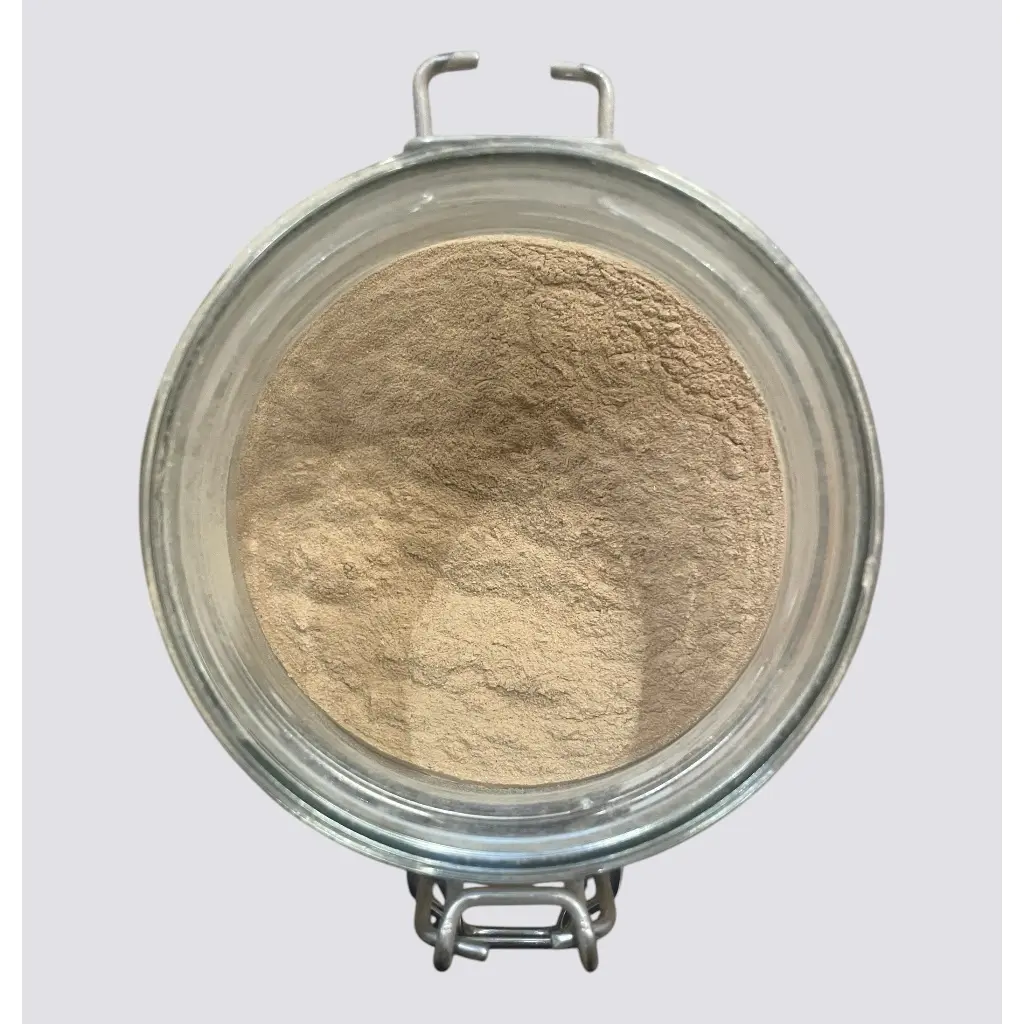 Galanga in polvere 40gr