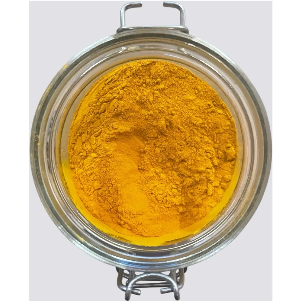Curcuma Longa in POLVERE pr. 50gr
