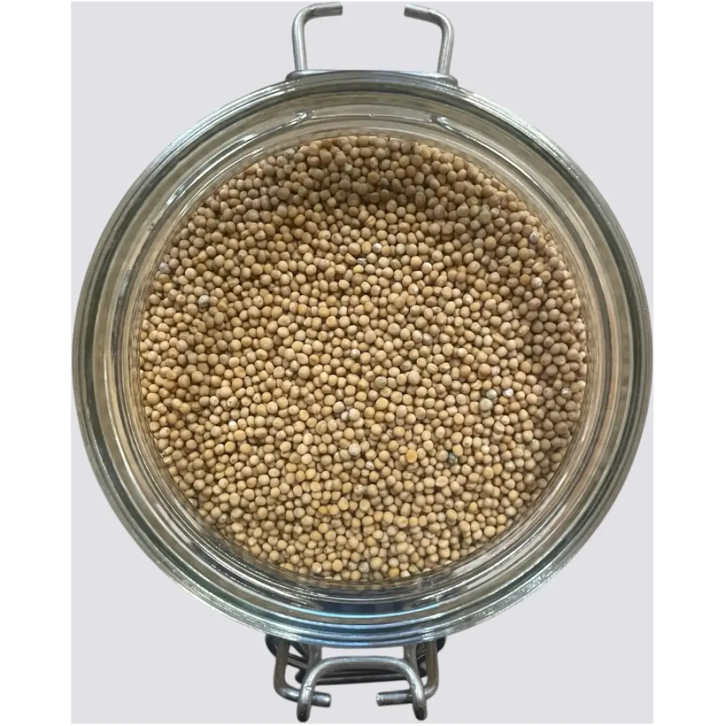 Senape gialla in SEMI pr. 50gr