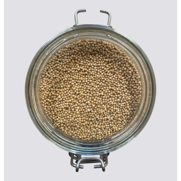 Senape gialla in SEMI pr. 50gr