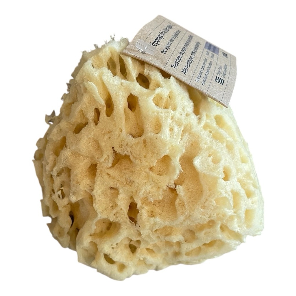 Spugna Naturale del Mar Egeo – Grande (14–16 cm)